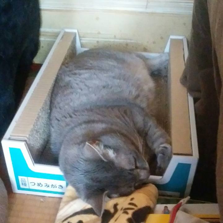 067fa14f ad32 4338 bf99 069a1be67911 1525090184248