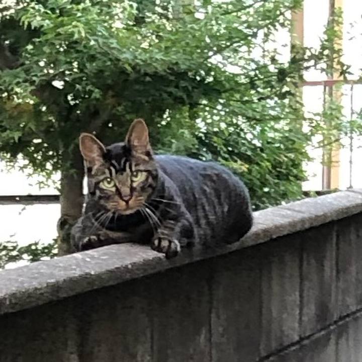 067faadf ae8b 44ac 8ccc f05ccfa7de5c 1624539352376