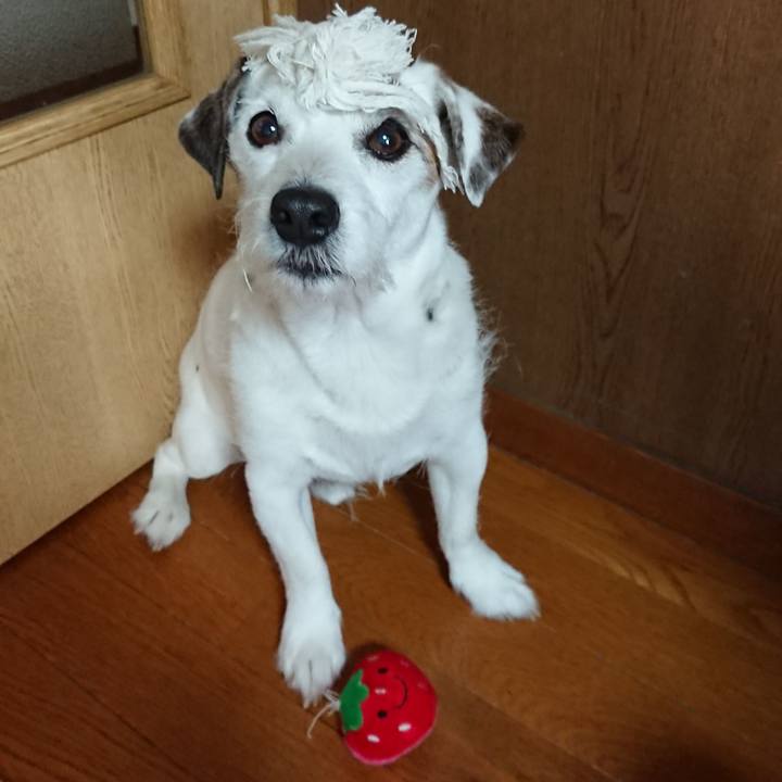 067fb23f 2e5e 4370 ad5c 413aa6d45eb2 1528414729697