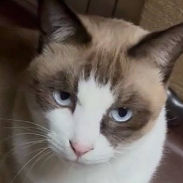 067fcb60 368d 4bf8 b563 175ef6f384f1 1763893326085