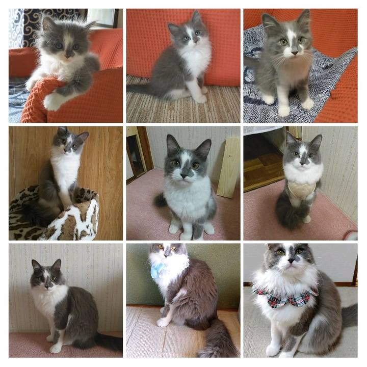 067fea7d f2b0 4f13 abc9 ce8b7565c5f4 1588283604955