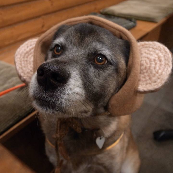 068002c3 7bbd 4c22 aad1 18f75f4e27a5 1584060983434