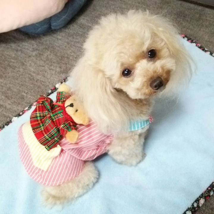 068019a4 1b33 4a31 b0c7 8d83cec651ae 1526993248123