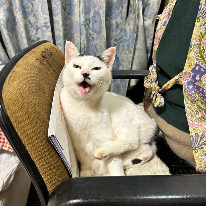 06803c97 12ff 40c8 9a11 8db817cce082 1766461625923