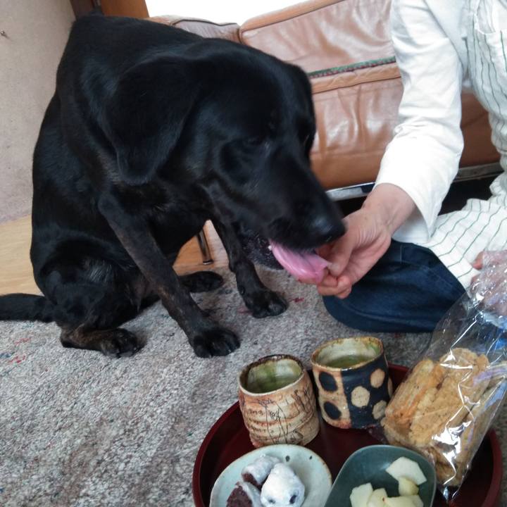 06805893 43c8 434a 922c 7002a475e1bb 1588492841867