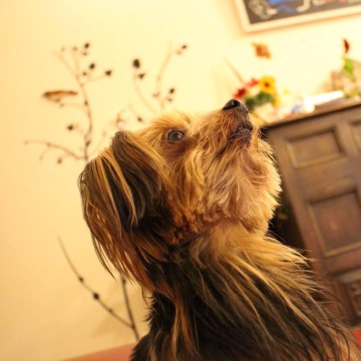 0680a39f 8b7b 4cdf 9013 90b964b7402a 1537273280281