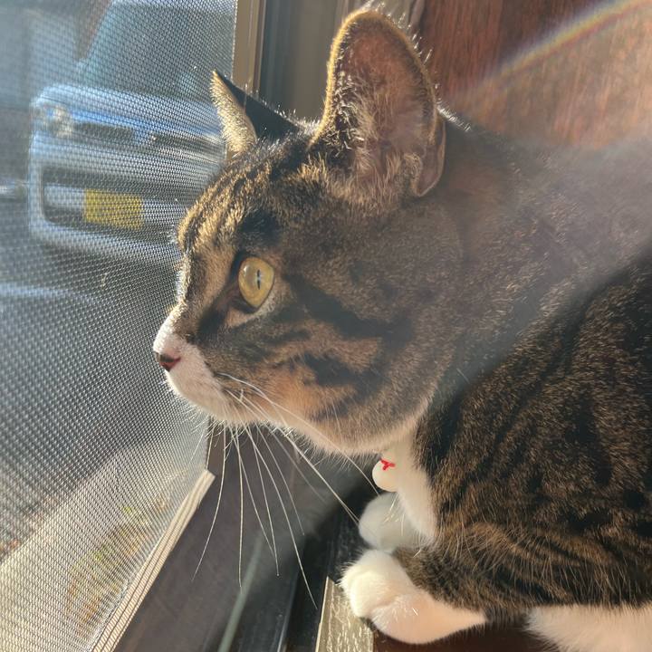 0680b4ae d79f 47b7 a24d 4fe2531979df 1766968148669