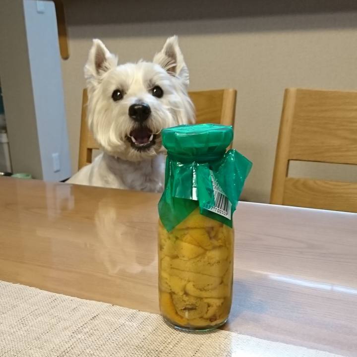 0680cfd5 e942 424d b7d8 51a09a4d855c 1528458795838