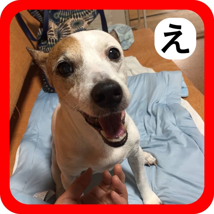 0680fb32 fa9e 4e8a a229 412209d10ce9 1514953357662