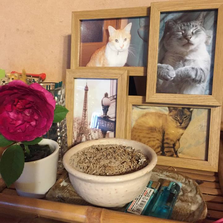 06811ec1 2bda 4d37 8d2f f2e7c58e7dd3 1534806393152