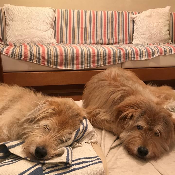 06813140 e915 46d6 8566 80b47deb4049 1563107989102