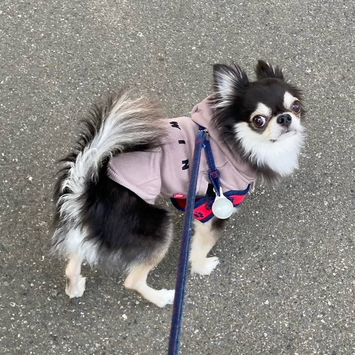 06815906 ef3b 4e21 8bc7 de3094d256df 1701515692597