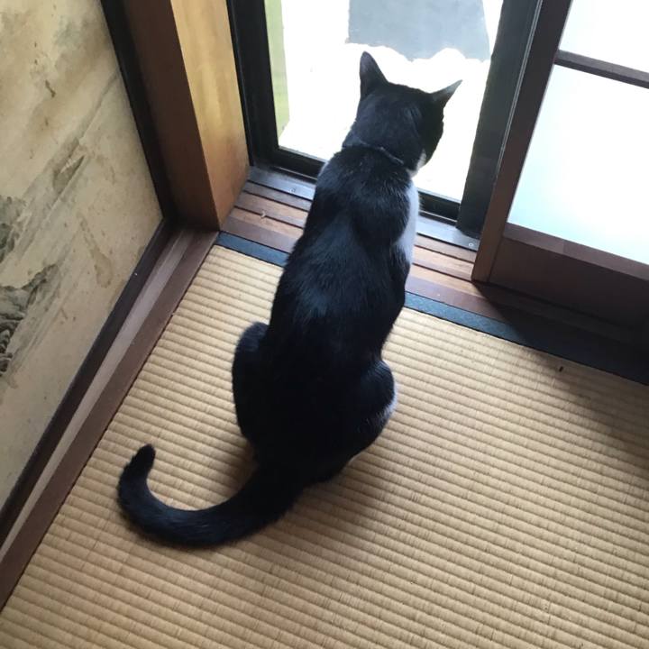 0681bbb6 4dca 4713 9f35 acf984ed3133 1751890795193