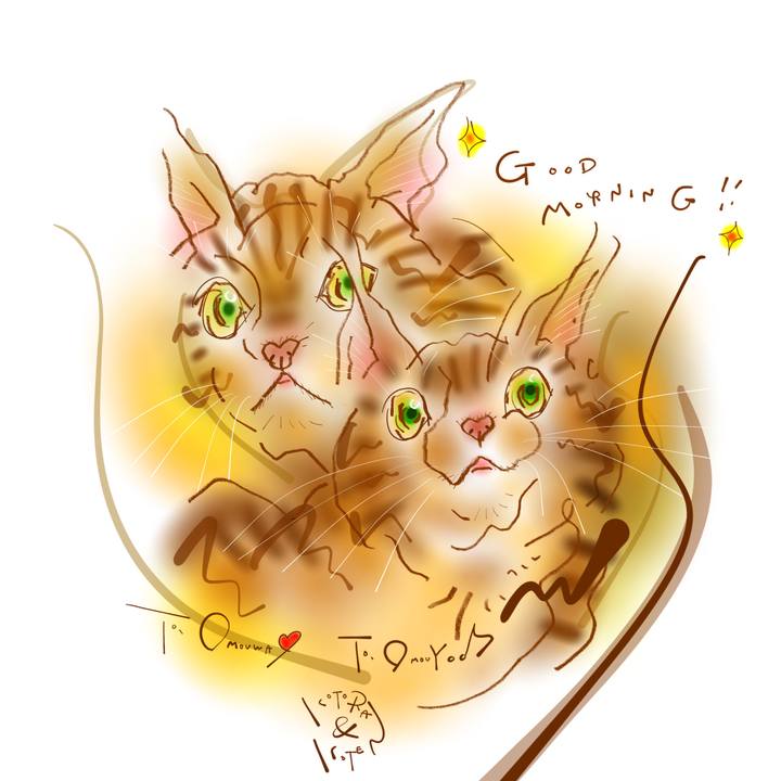 0681dfe3 f597 4788 83c9 46a590761592 1666049995545