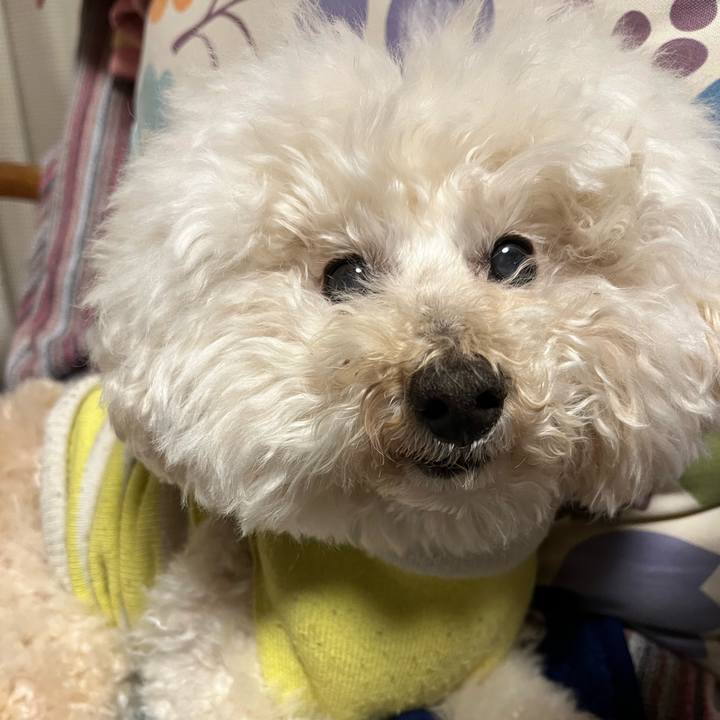 0681fbc1 2c38 400e a2b4 3490d4b8c9b8 1772219929089