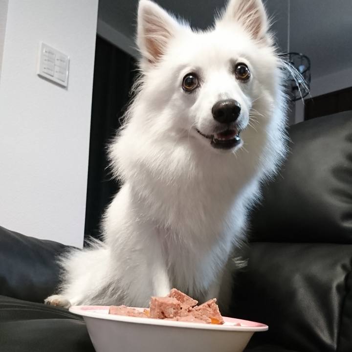 0682958e 73e6 4e6f 923f cd780837ddc4 1535457464961