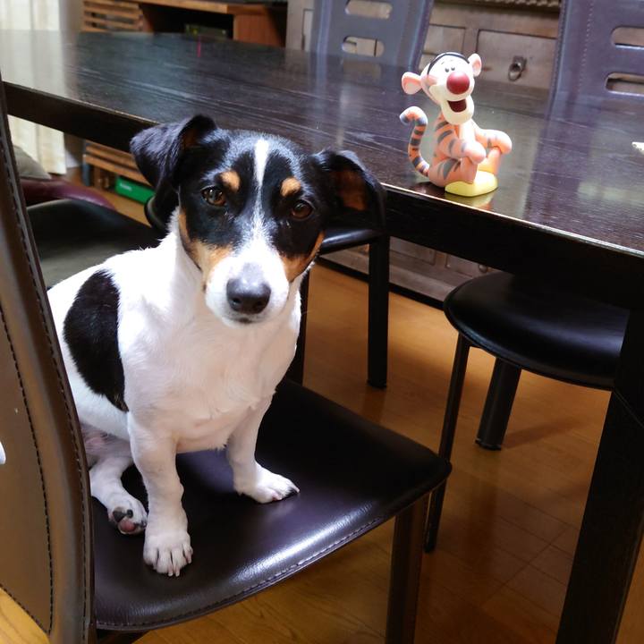 0682e6ac 667a 40bd 9217 2f441a45d8a8 1640943417540