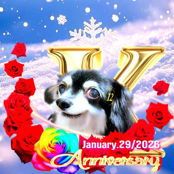 068306fb aede 479d 843d ac059e3ebb88 1770251996506