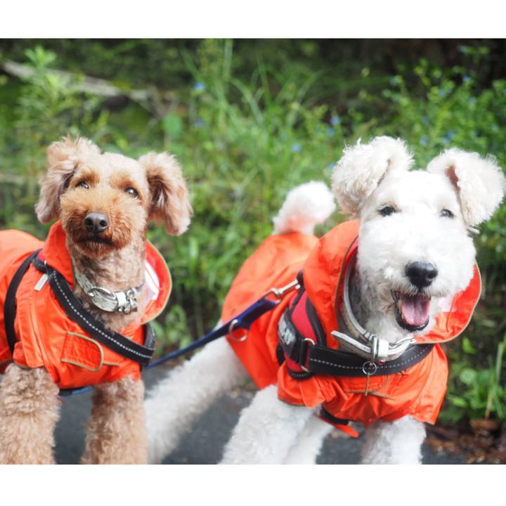 068351d2 8ebc 46a1 8eab 27ead7d7a2f8 1537588588271