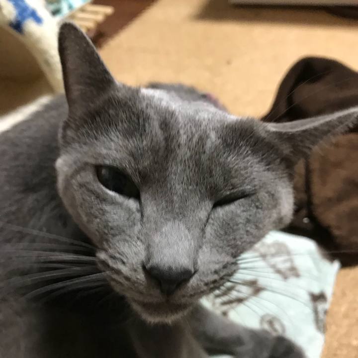 06835848 a9d3 4d40 a85d 56c25b73a9e7 1512564532386