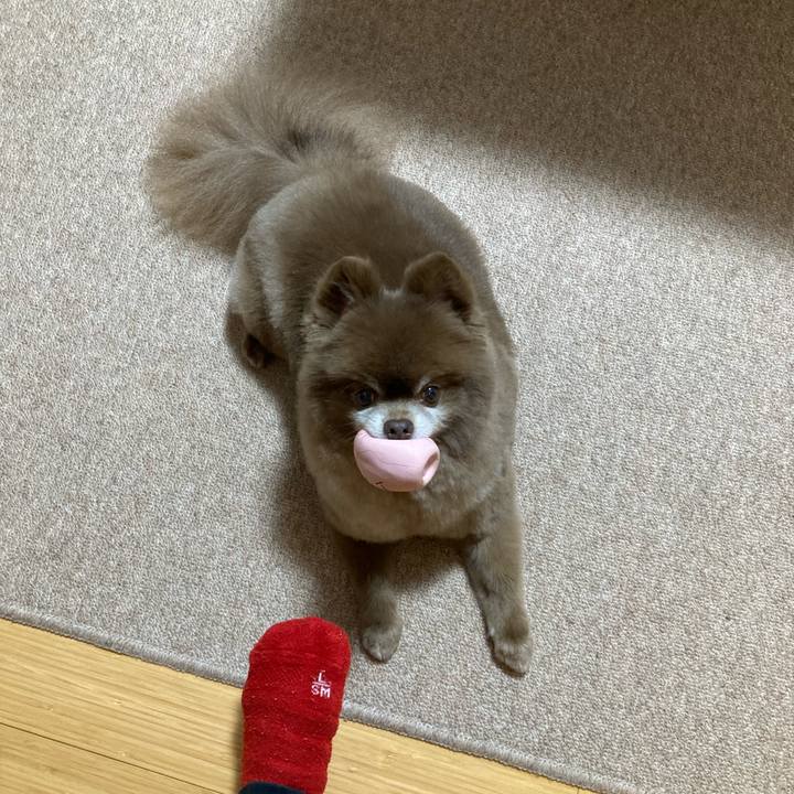 0683d070 aa5b 4c7b a15f d43743a30021 1645863888538