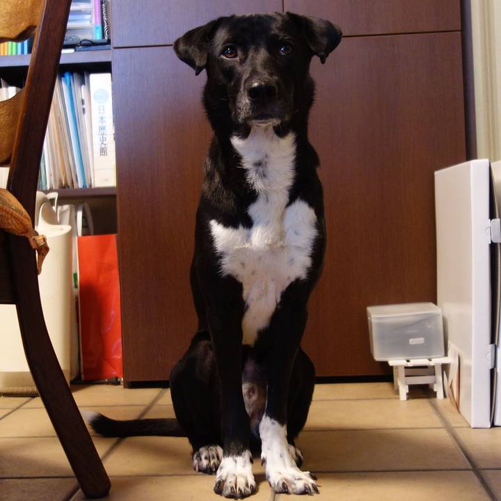 0683f13d 039d 44c4 aed6 0e1a74865f75 1583458764182