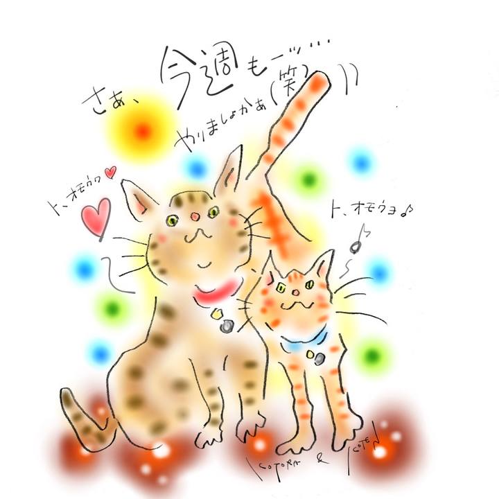 068459dd dec3 4e77 9655 ac955d2334eb 1615158687719