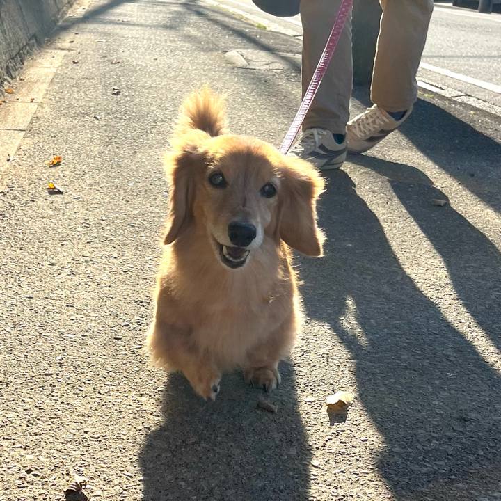 06849fc9 6aa6 4739 815e e980bd26ec7f 1638268216869