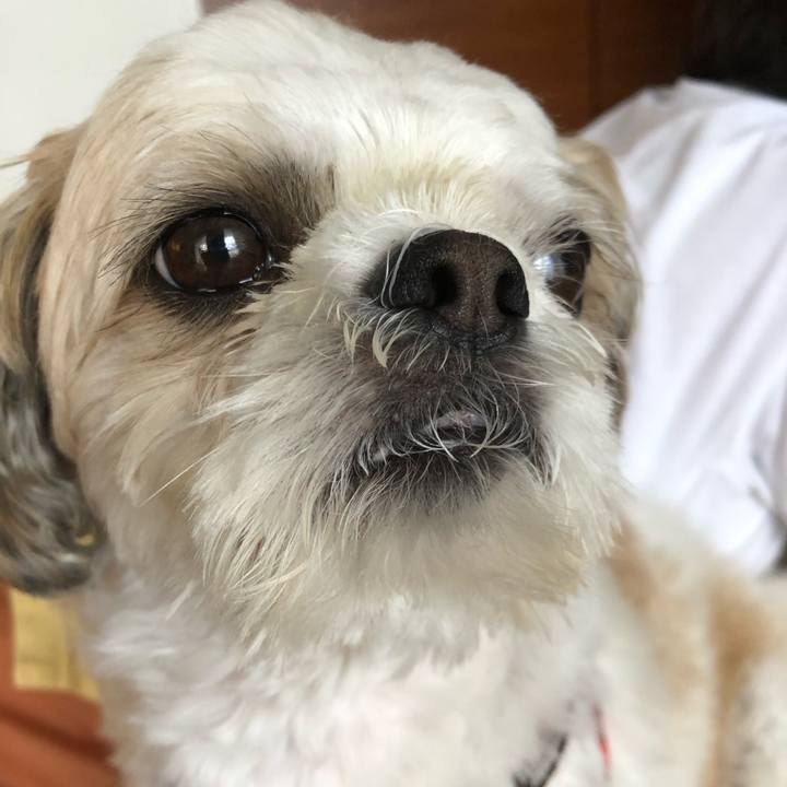 0684f23b c295 41f4 94bd 444ccc0878ab 1596664267791