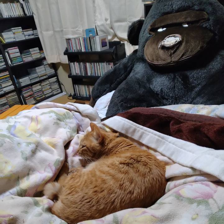 06850a29 41c8 4422 9a73 d555ea85c156 1672919711635