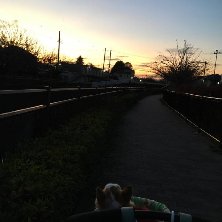 06851ba1 932c 4da8 ac0d c4eccb6fa5a3 1575544826055