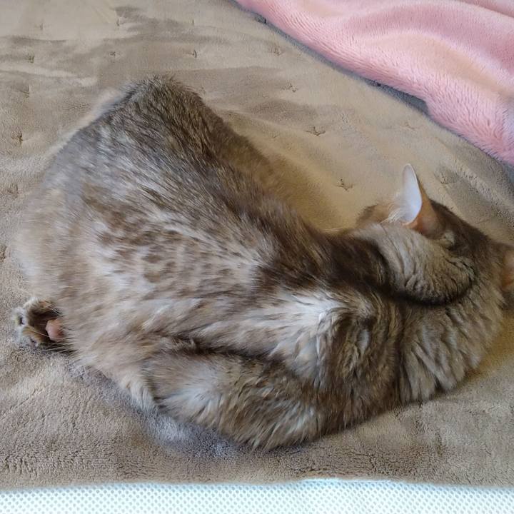 06852455 3d3a 48bf a839 8f22ec024eda 1613618216623