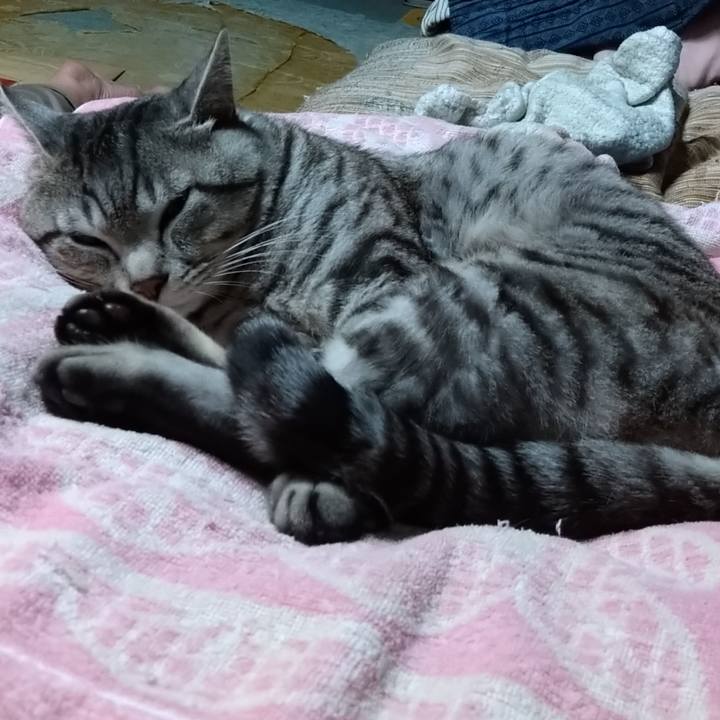 06852a27 906e 489d ae3a a279d293aac2 1678028994423