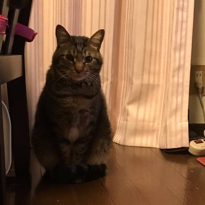 06852e5c 28d7 42fa 92c5 e8ed061f552e 1620217091381