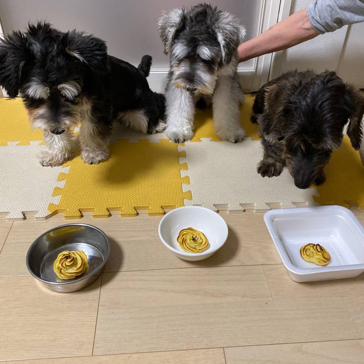 0685a0bb f649 4552 9d90 a3a8e38470ac 1571147066366