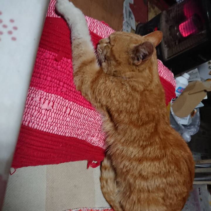 0685a879 56b3 4e9a bd53 e66d4e8d4c07 1554546521597