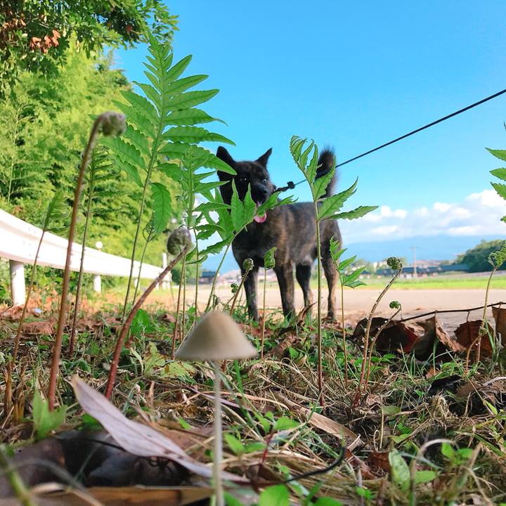 0685e106 e660 4a3e 9e72 a50bcfc8dde3 1532299267902