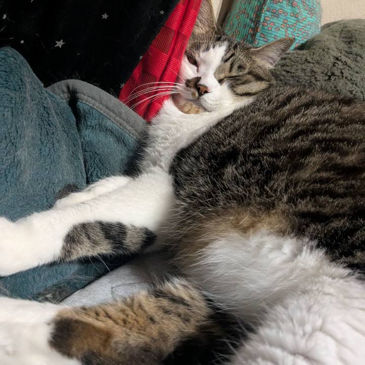 0686204f 9a06 4305 9ed6 4da3fddedc02 1749860236913