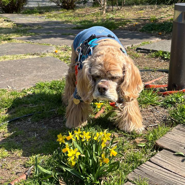 0686445e 103d 4750 a1fa d1308b13331b 1774018837473