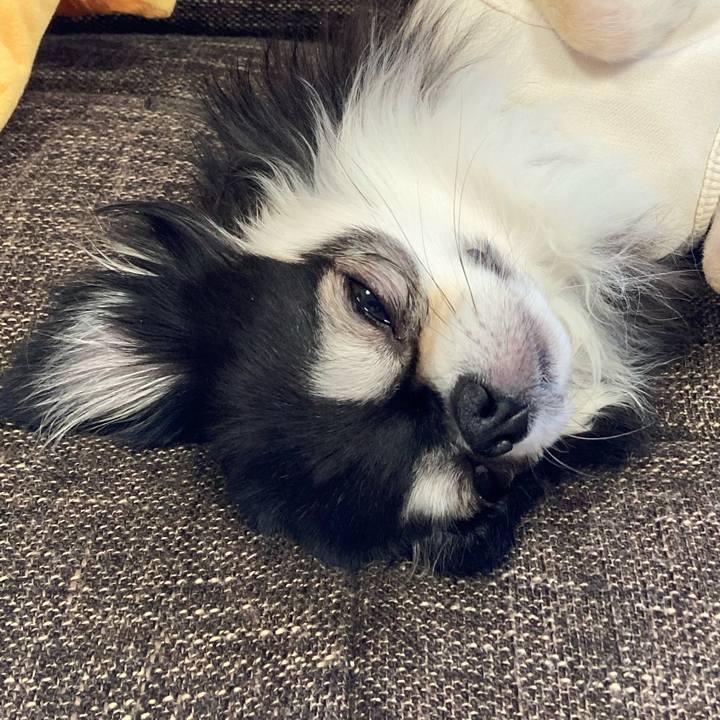 06865e51 6e7d 42df 9a95 dd7f75de9fc2 1702093798408