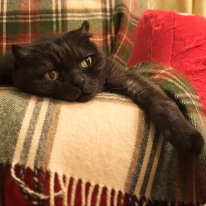 0686651f 4492 4ec1 882b 7e9499adde54 1558623455298