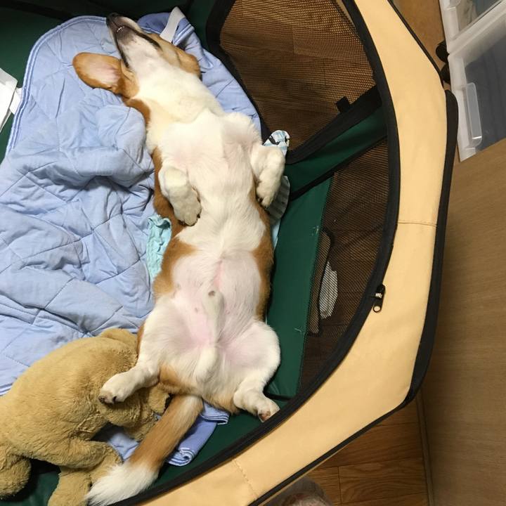 06868abc 8531 4bc4 a00f 4b78633c0214 1600358209164