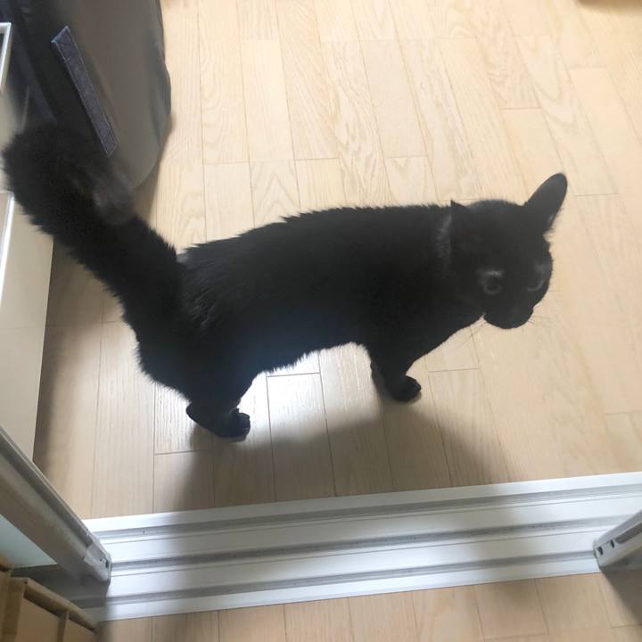 06868fd3 536b 421f 9bba 1951c5e58d4a 1587117799994