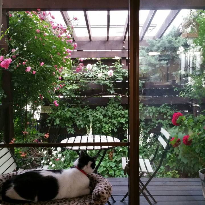 068692d0 463c 4ff5 b7b4 fb81a5911f8c 1527636930365