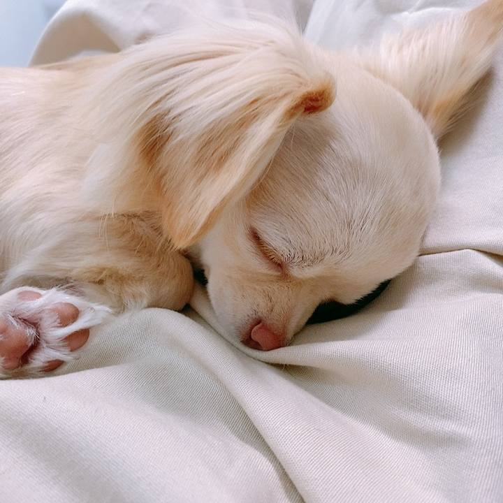 0686cb96 5c16 4cff 8d87 f19916119d2e 1619583165720