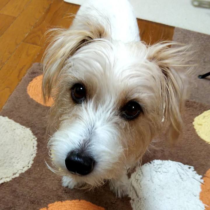 0686da66 3060 424b b9ca c3bbceff9f47 1551305883007