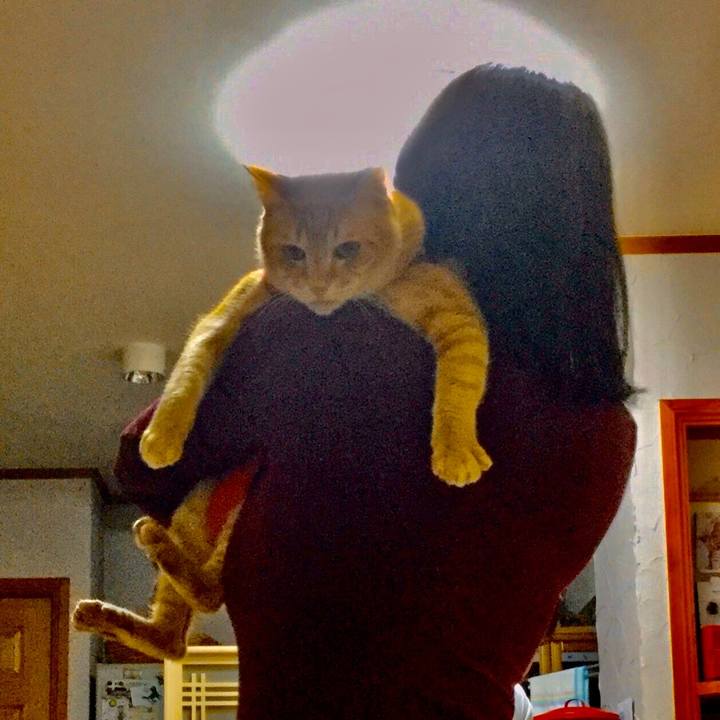 0686dd7e b3a3 49c9 befa b24659e6100e 1583750967938