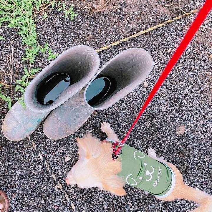 0686f7e8 be23 4ec2 b057 91f4529fc0cd 1625137322687