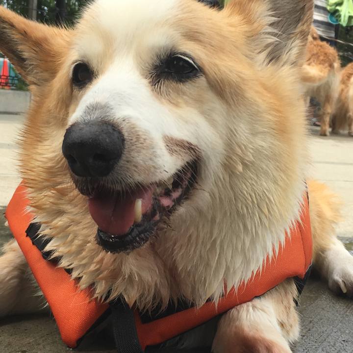 0687172f e0db 4983 9bf0 8903ecdbaf13 1561816732960