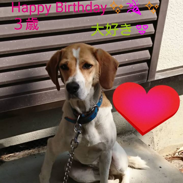 068760c9 69de 4534 a9b3 fdc9706effed 1562460104474